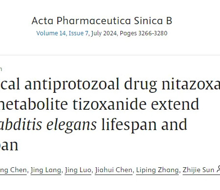 Eine neue Studie – Nidazolid und Tizolid können die Alterung verzögern und das Leben verlängern