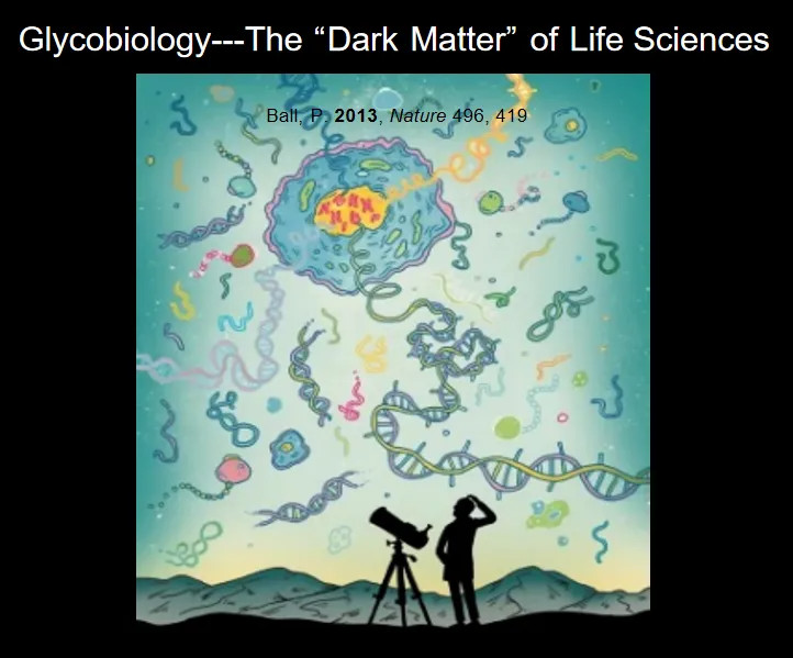 ns169805974-glycobiology_the_dark_matter_of_life_sciences.jpg