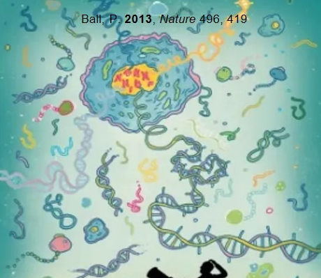 Glykobiologie – Die „Dunkle Materie“ der Biowissenschaften
