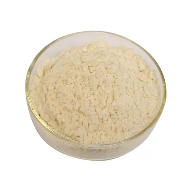 N 4 Aminobenzoyl L Glutaminsäure Folsäure Cas 4271-30-1
