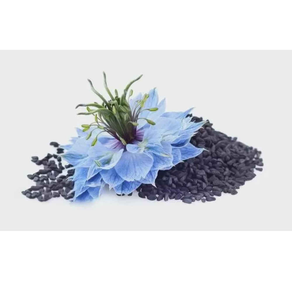 Thymoquinone CAS 490-91-5 Antioxidans Pulver Extrakt Nigella Sativa Anti-Krebs Phytochemical
